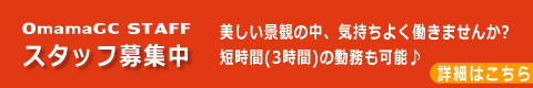 ԁXStNu/X^btWē