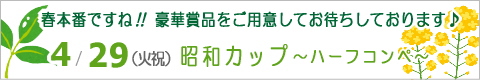 ԁXStNuCxg/n[tRy